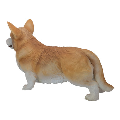 Ed: The smart Corgi Companion (Founders Edition)