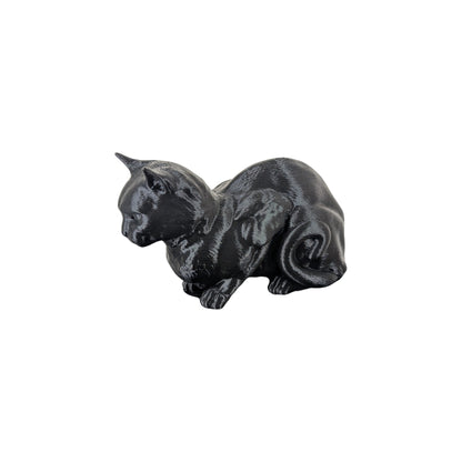 The Coiled Feline Study (Archive No. 004)