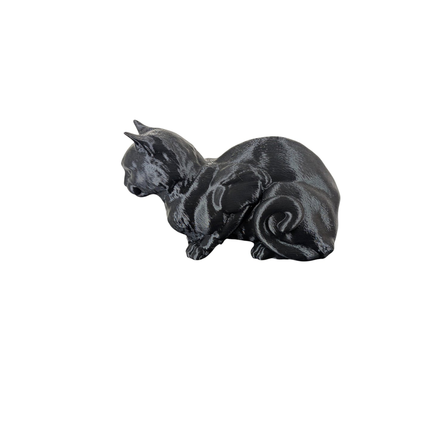 The Coiled Feline Study (Archive No. 004)