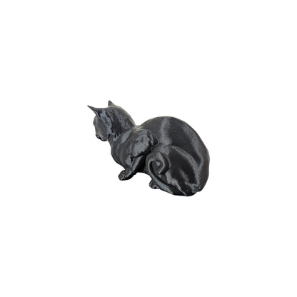 The Coiled Feline Study (Archive No. 004)