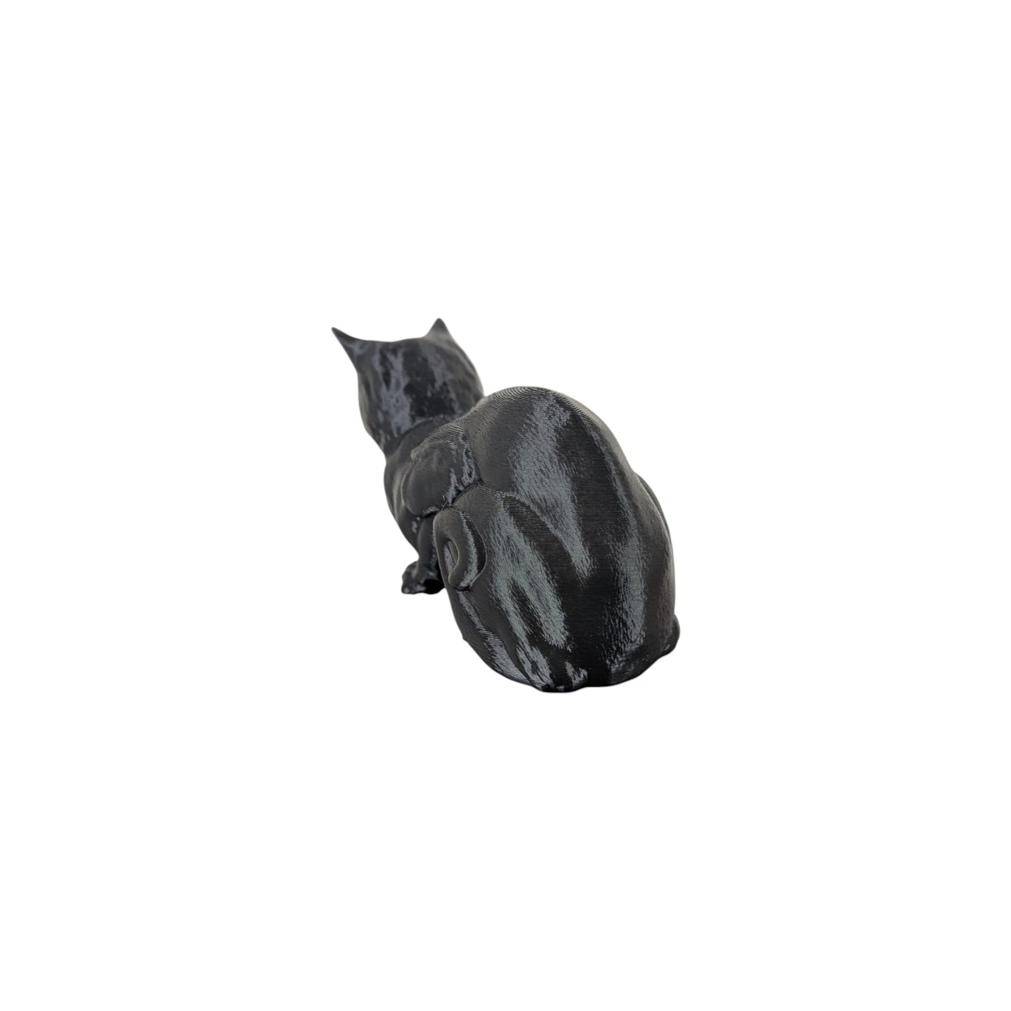 The Coiled Feline Study (Archive No. 004)