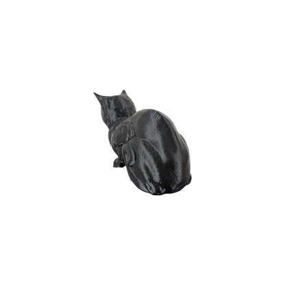 The Coiled Feline Study (Archive No. 004)