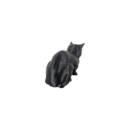 The Coiled Feline Study (Archive No. 004)