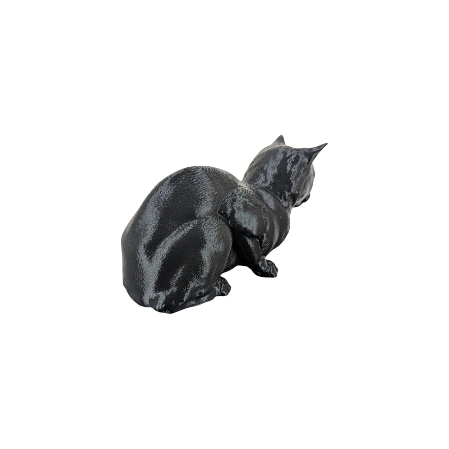 The Coiled Feline Study (Archive No. 004)
