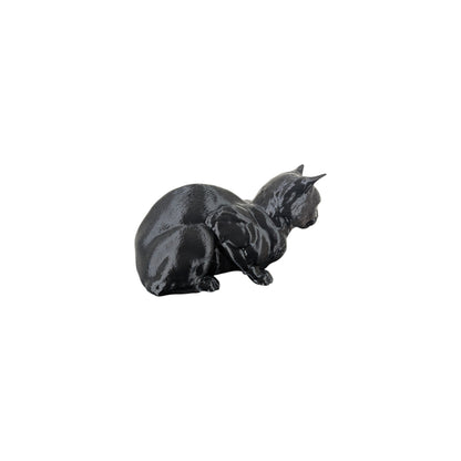The Coiled Feline Study (Archive No. 004)