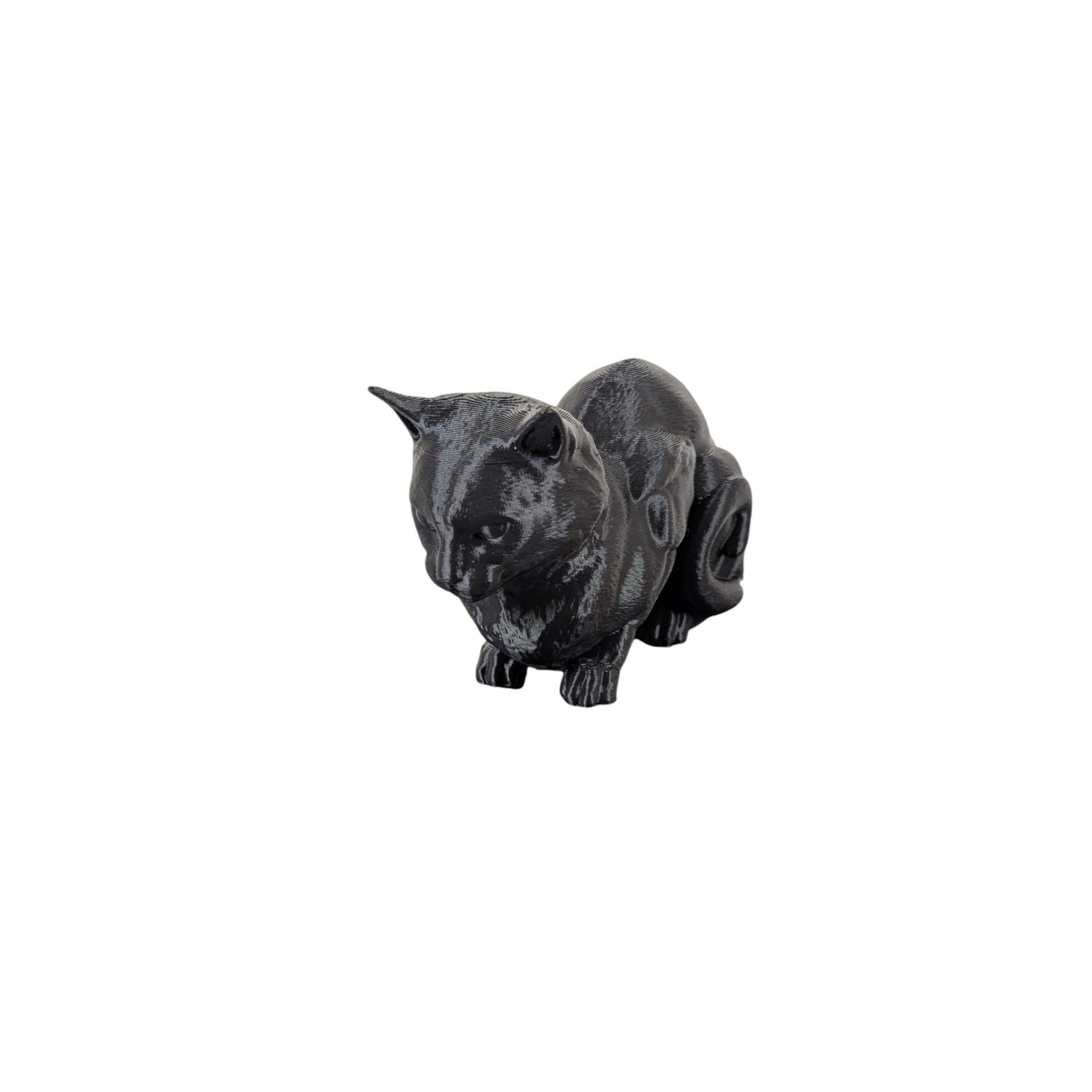 The Coiled Feline Study (Archive No. 004)