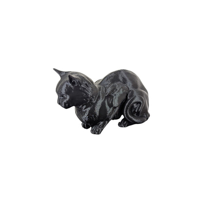 The Coiled Feline Study (Archive No. 004)