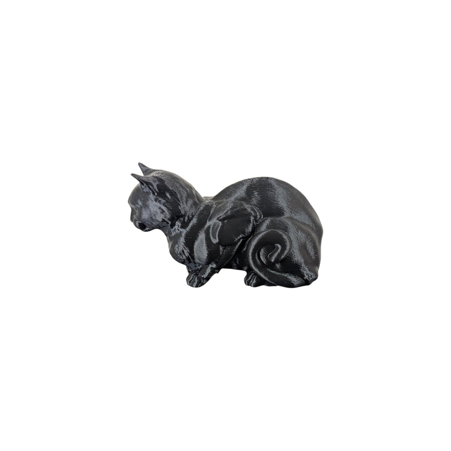 The Coiled Feline Study (Archive No. 004)