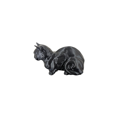 The Coiled Feline Study (Archive No. 004)