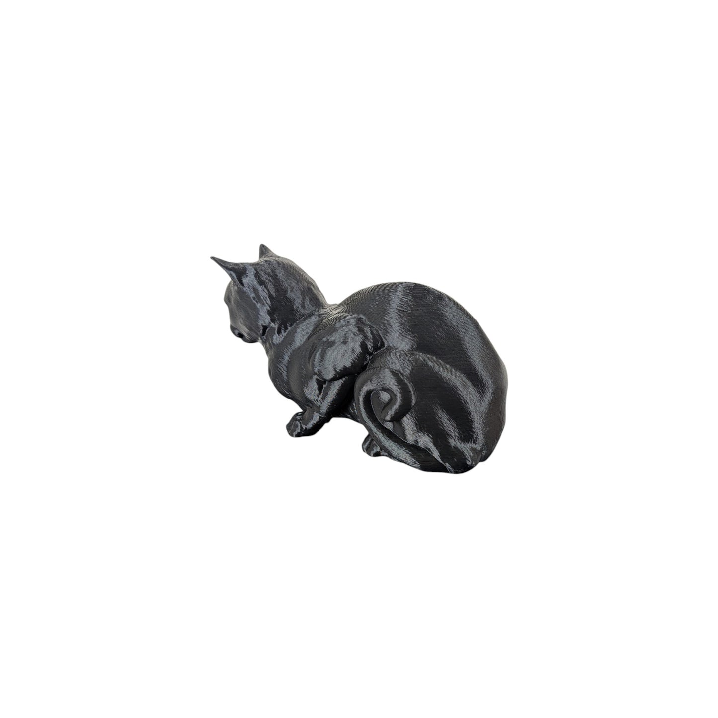 The Coiled Feline Study (Archive No. 004)