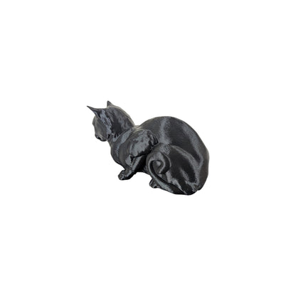 The Coiled Feline Study (Archive No. 004)