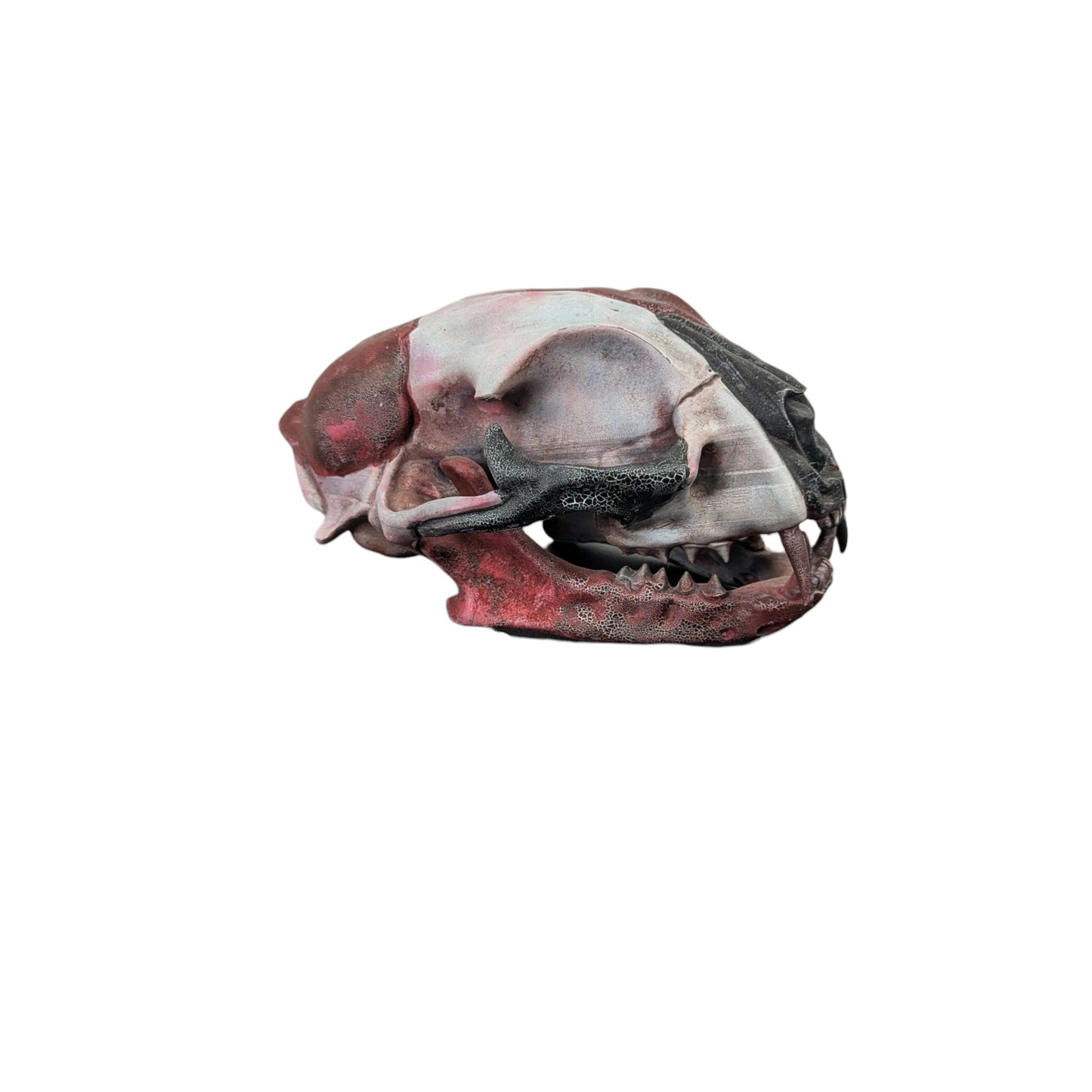 Giant Cat Skull | Weathered Red & Black | Street Art Edition