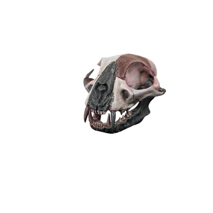 Giant Cat Skull | Weathered Red & Black | Street Art Edition