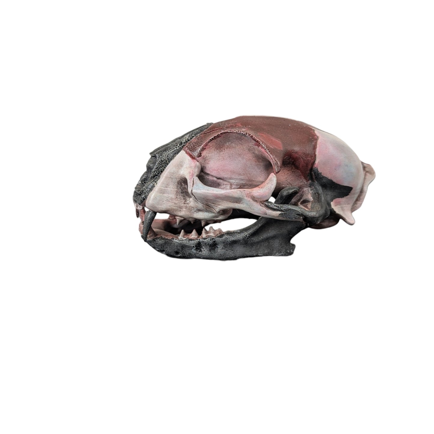 Giant Cat Skull | Weathered Red & Black | Street Art Edition