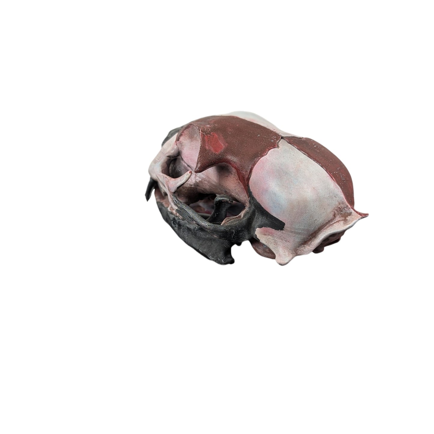 Giant Cat Skull | Weathered Red & Black | Street Art Edition
