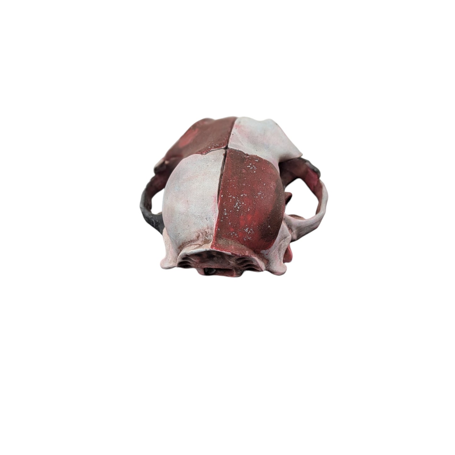 Giant Cat Skull | Weathered Red & Black | Street Art Edition