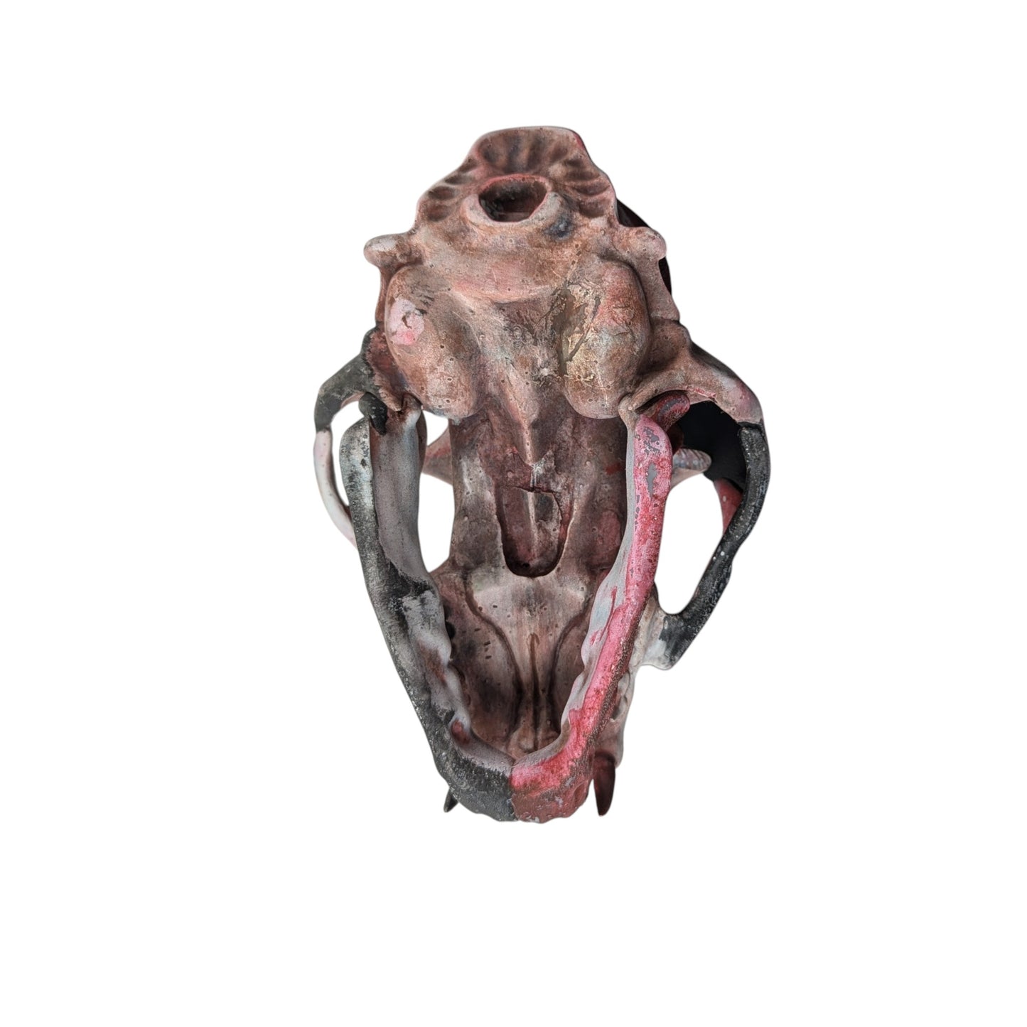 Giant Cat Skull | Weathered Red & Black | Street Art Edition
