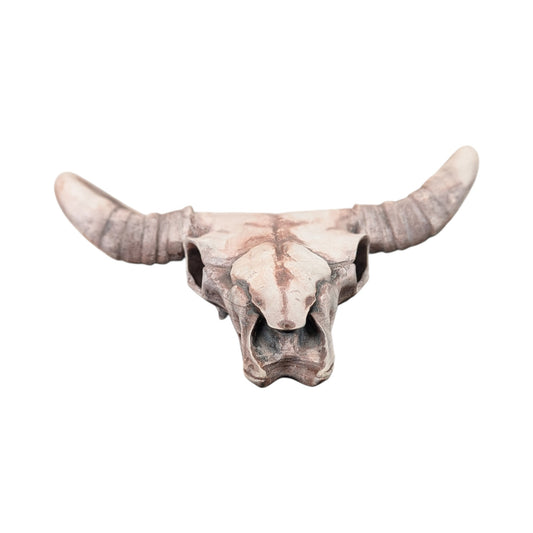 American Bison Skull (Desert Weathered) | Synthetic Curio