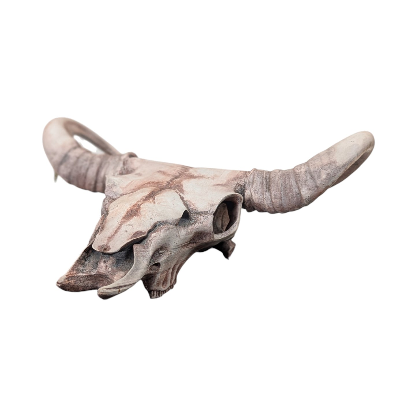 American Bison Skull (Desert Weathered) | Synthetic Curio