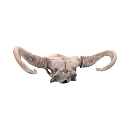 American Bison Skull (Desert Weathered) | Synthetic Curio