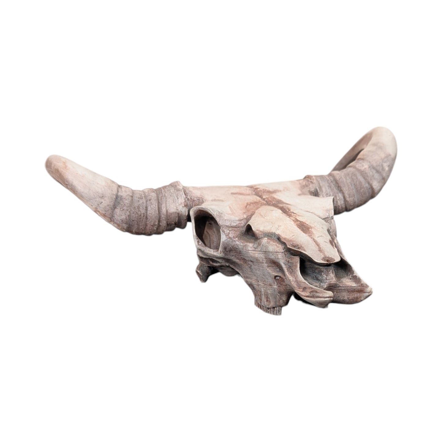 American Bison Skull (Desert Weathered) | Synthetic Curio