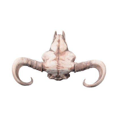 American Bison Skull (Desert Weathered) | Synthetic Curio