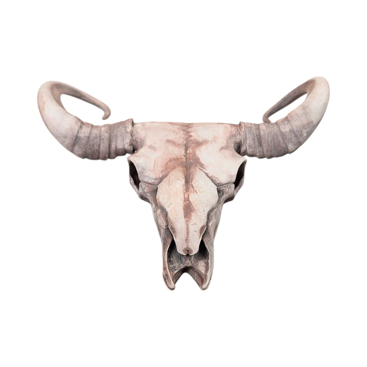 American Bison Skull (Desert Weathered) | Synthetic Curio