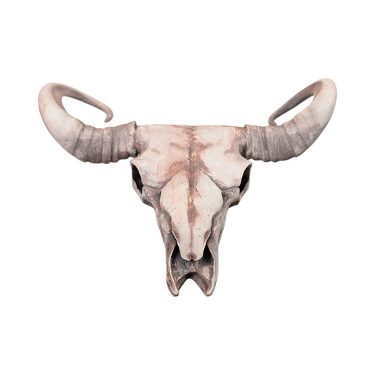 American Bison Skull (Desert Weathered) | Synthetic Curio