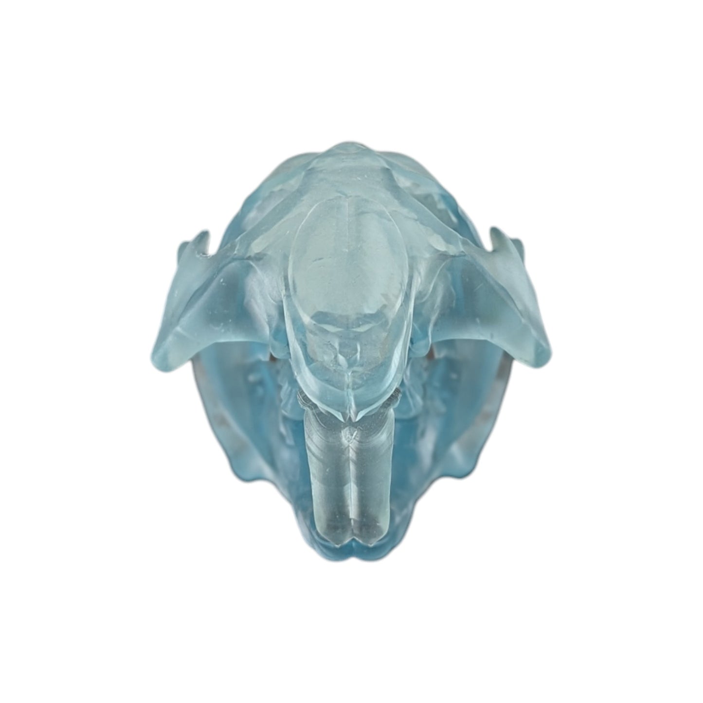 Beaver/Castor Skull (Resin) Glacial Blue