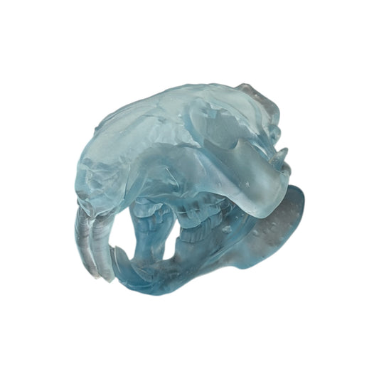 Beaver/Castor Skull (Resin) Glacial Blue