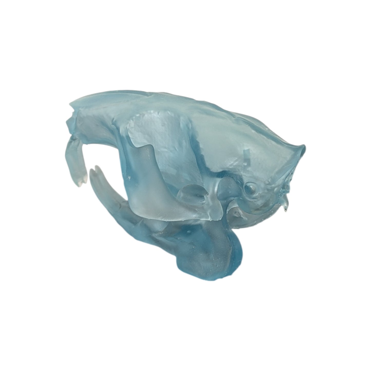Beaver/Castor Skull (Resin) Glacial Blue