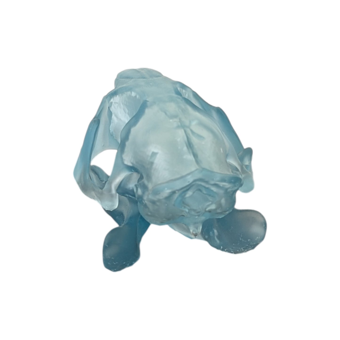 Beaver/Castor Skull (Resin) Glacial Blue