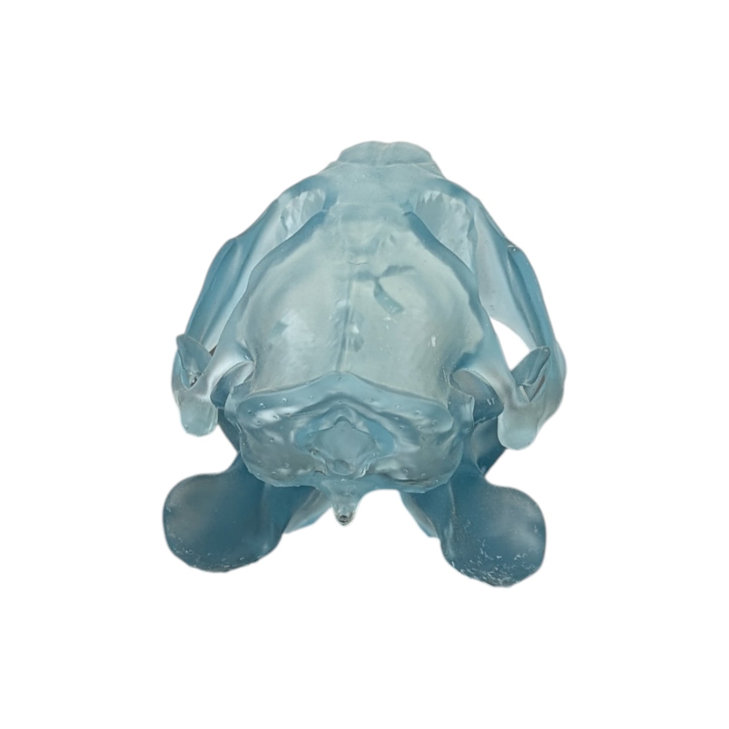 Beaver/Castor Skull (Resin) Glacial Blue