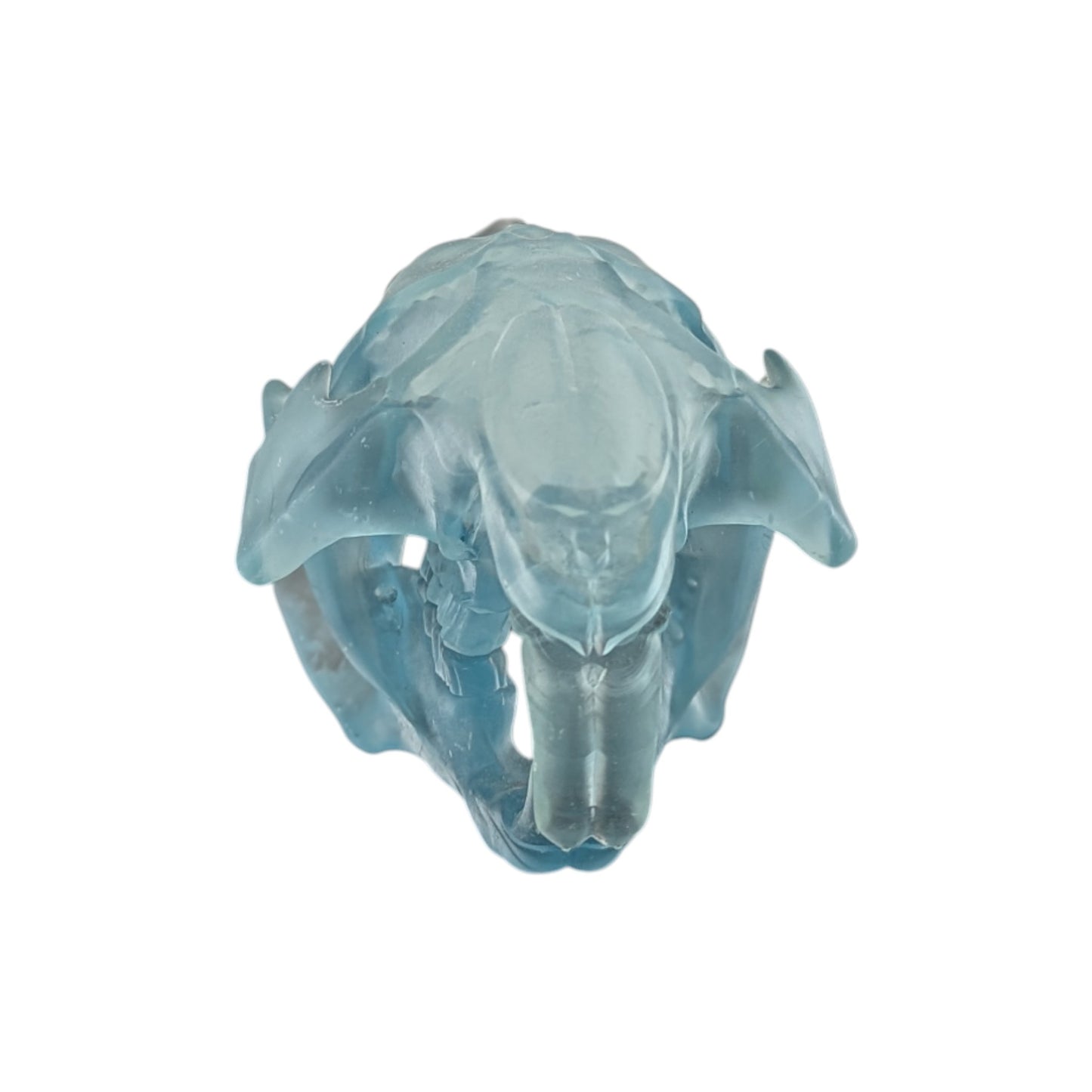 Beaver/Castor Skull (Resin) Glacial Blue