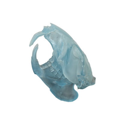 Beaver/Castor Skull (Resin) Glacial Blue