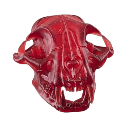 The Ruby Specimen: Life-Size Cat Skull (Translucent)