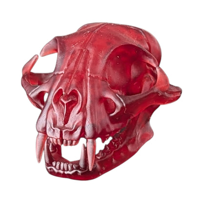 The Ruby Specimen: Life-Size Cat Skull (Translucent)