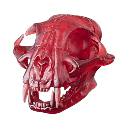 The Ruby Specimen: Life-Size Cat Skull (Translucent)