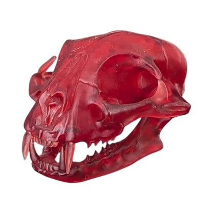 The Ruby Specimen: Life-Size Cat Skull (Translucent)