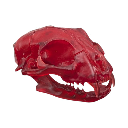 The Ruby Specimen: Life-Size Cat Skull (Translucent)