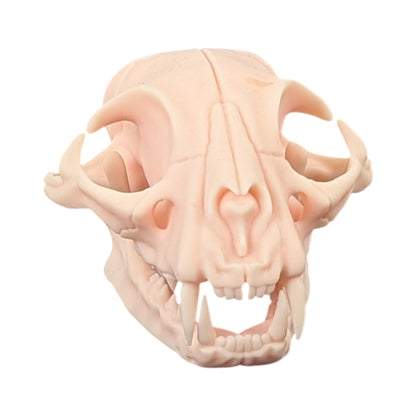 The Soft Specimen: Cat Skull in Aqua-Ivory