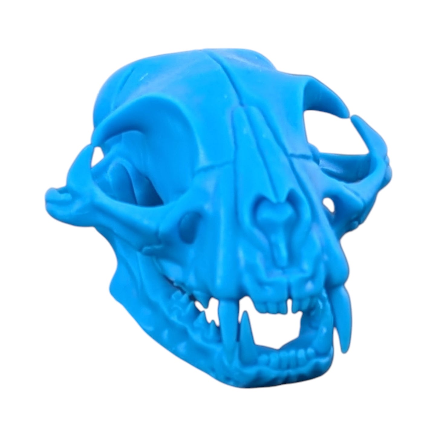 Powder Blue: Life-Size Cat Skull (Matte)