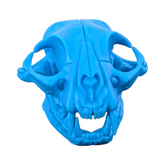Powder Blue: Life-Size Cat Skull (Matte)