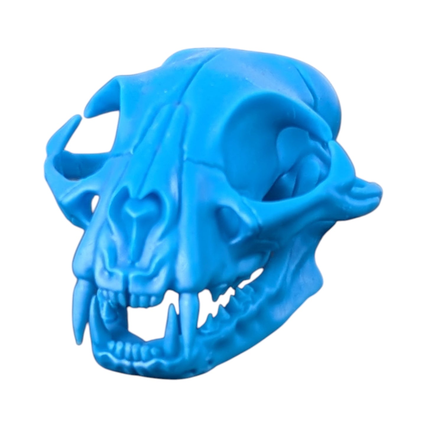 Powder Blue: Life-Size Cat Skull (Matte)