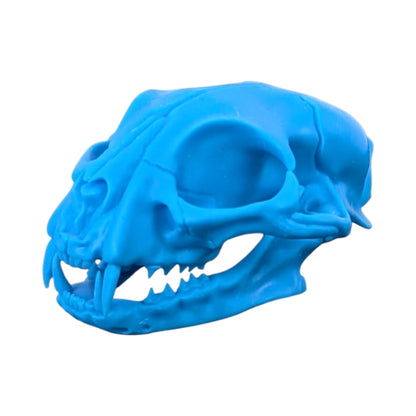 Powder Blue: Life-Size Cat Skull (Matte)