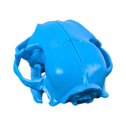 Powder Blue: Life-Size Cat Skull (Matte)