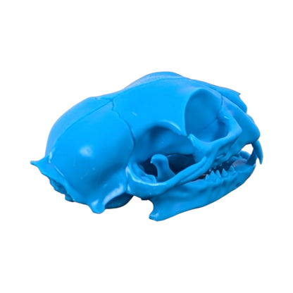 Powder Blue: Life-Size Cat Skull (Matte)