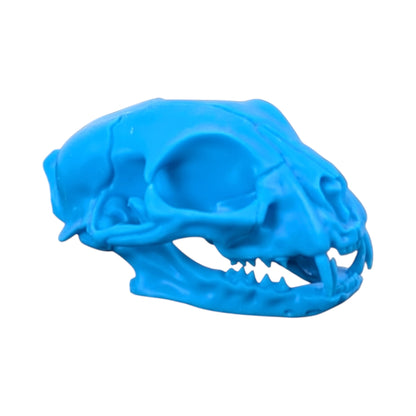 Powder Blue: Life-Size Cat Skull (Matte)