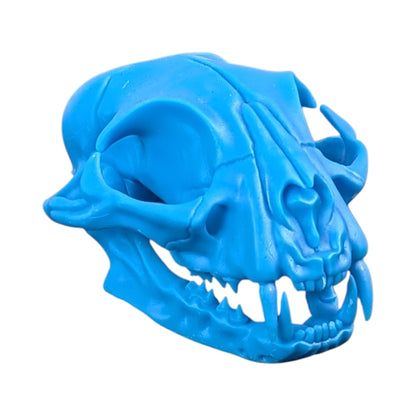 Powder Blue: Life-Size Cat Skull (Matte)