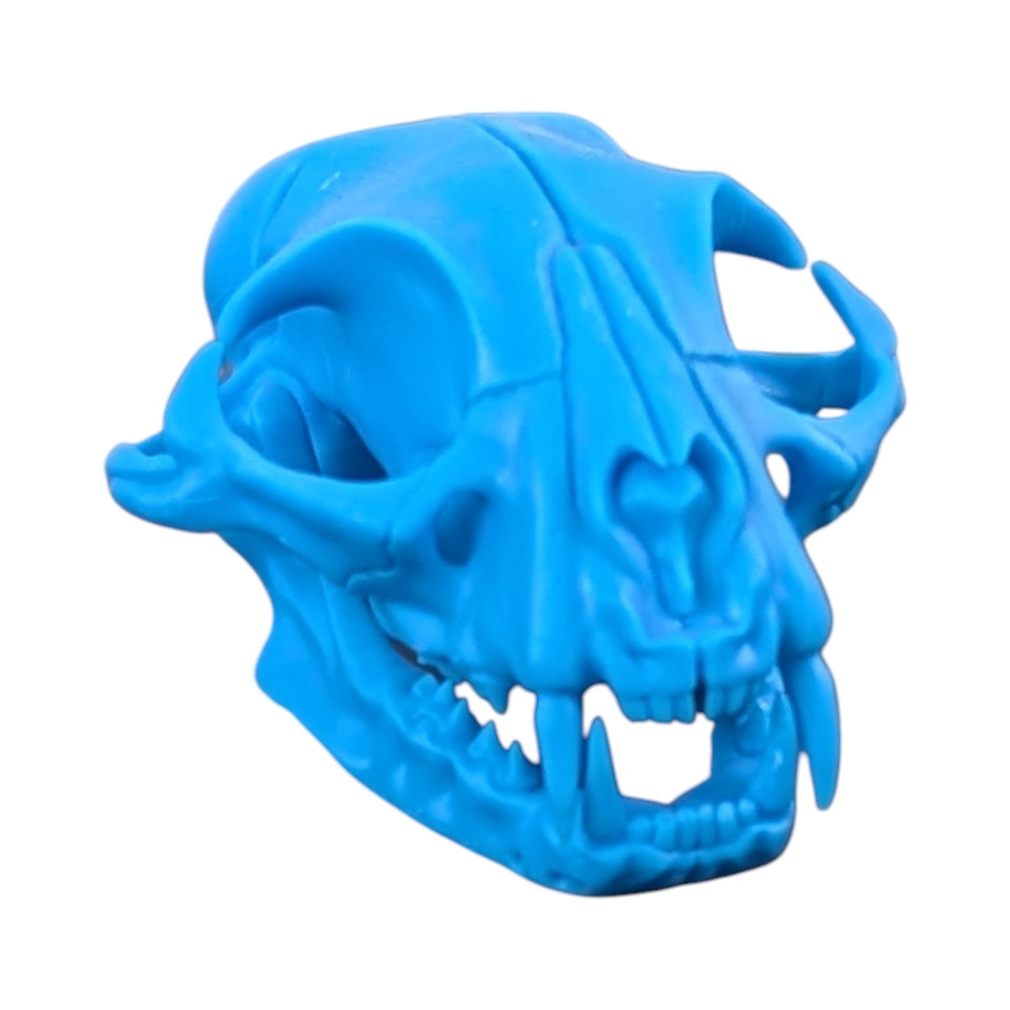 Powder Blue: Life-Size Cat Skull (Matte)
